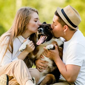Survey: More than 80% of pet parents consider their pets to be family